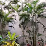 Lejlighed Spacious 2 Beds Appt With Pool In A Large Complex Puerto de Santiago (Tenerife)